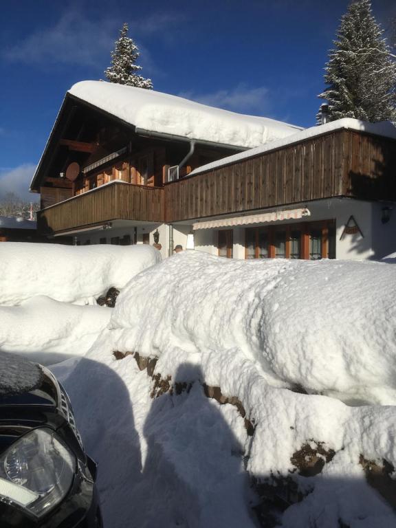 Chalet Erika room 2
